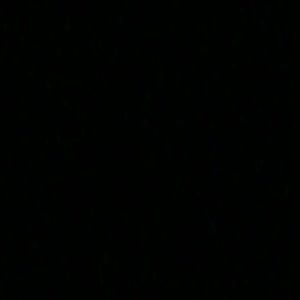 Meet your Posher, Keiona